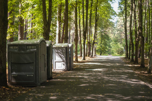 Best Luxury portable toilet rental  in Line Acres, MO